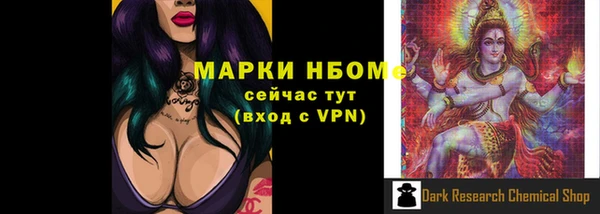 спиды Горняк