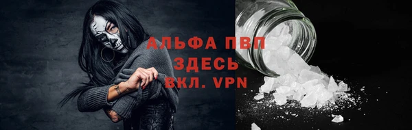 мет Ладушкин