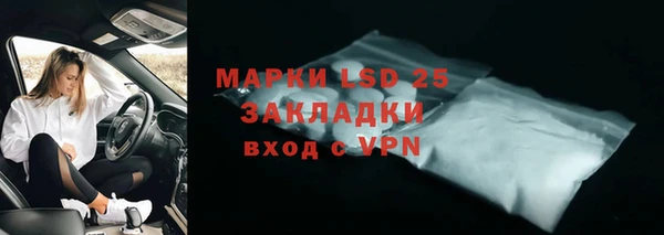 шишки Горнозаводск