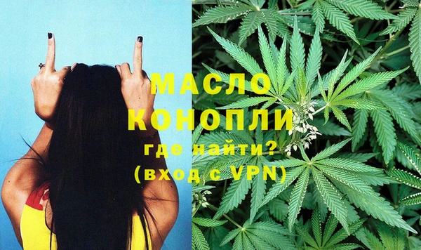 спиды Горняк
