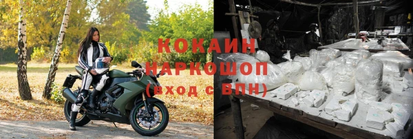 спиды Горняк