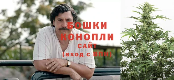 мет Ладушкин