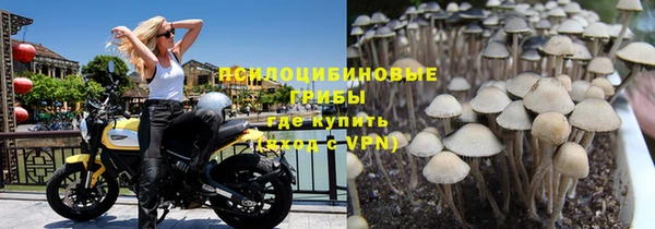 дживик Лабытнанги