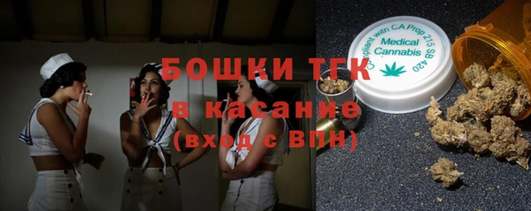 шишки Горнозаводск