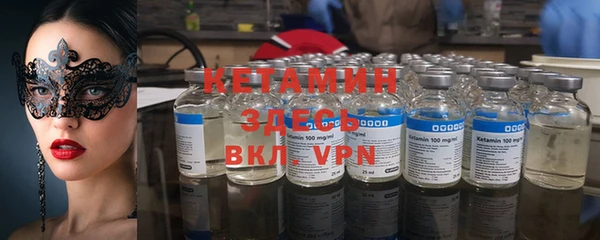 стаф Сясьстрой