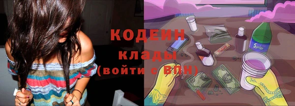 мет Ладушкин