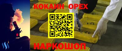 крисы Гагарин