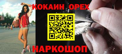 кокс Гатчина