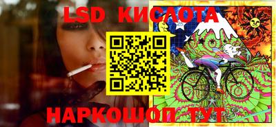 кокс Гатчина