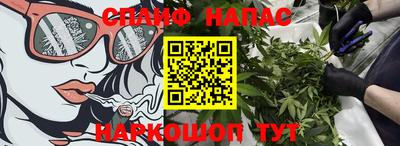 крисы Гагарин