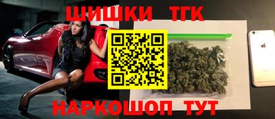 кокс Гатчина