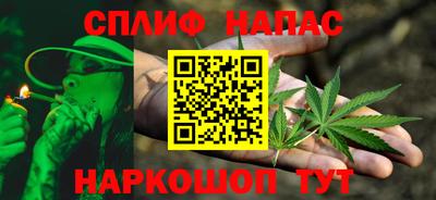 крисы Гагарин