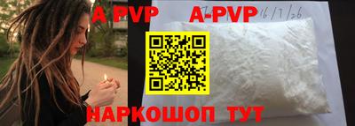 крисы Гагарин