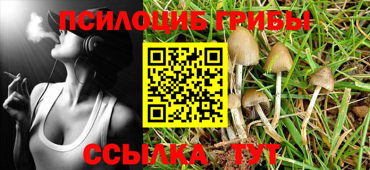 Псилоцибиновые грибы мицелий  Медногорск  Галлюциногенные грибы GOLDEN TEACHER 